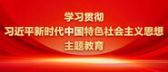 小穴要被操死了被鸡吧操啊啊视频在线观看学习贯彻习近平新时代中国特色社会主义思想主题教育_fororder_ad-371X160(2)